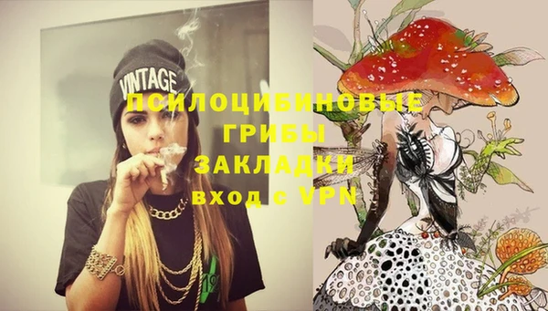 сатива Белоозёрский