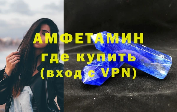 индика Богданович