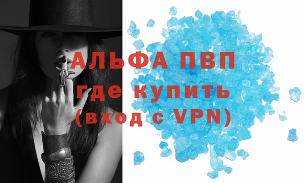 индика Богданович