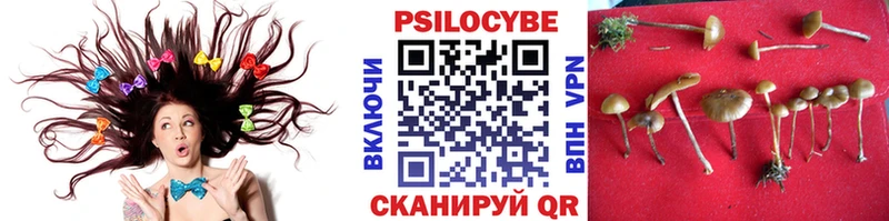 Псилоцибиновые грибы Cubensis Обь